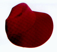 hat