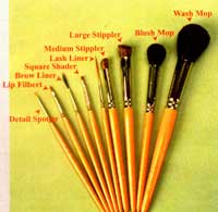 brushes